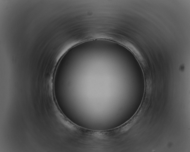 X0000096650814200802121131