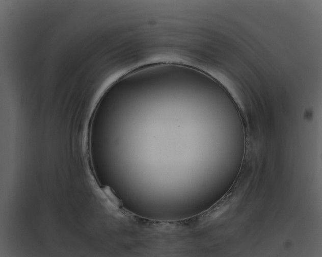 X0000096650815200802121131