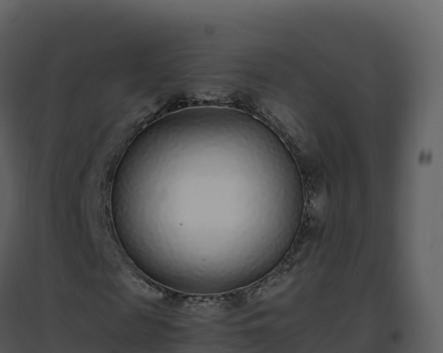 X0000096650817200802121130