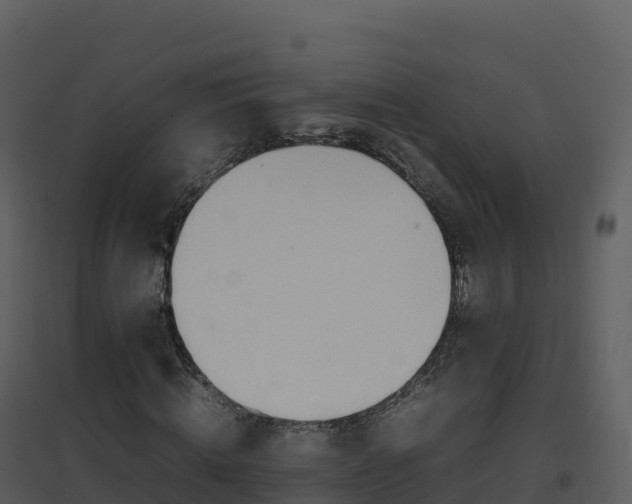 X0000096650820200802121130