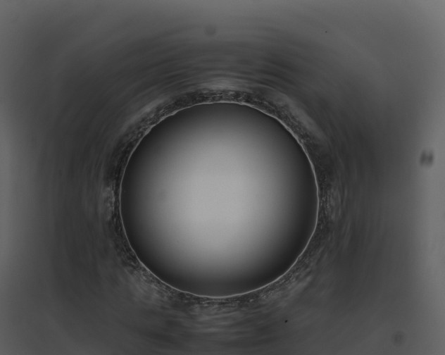 X0000096650821200802121130