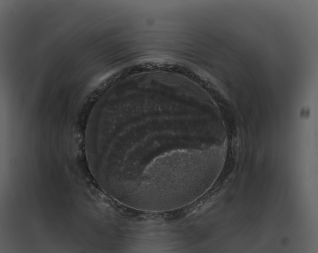 X0000096650822200802121130