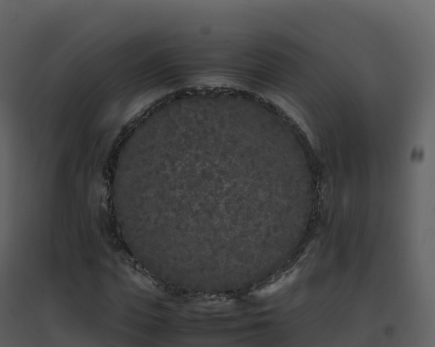 X0000096650823200802121130