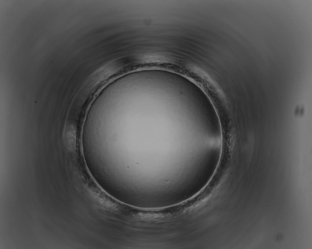X0000096650825200802121130