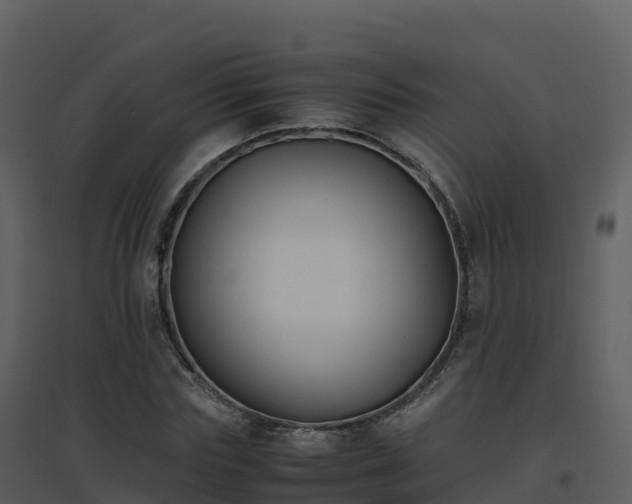 X0000096650827200802121130