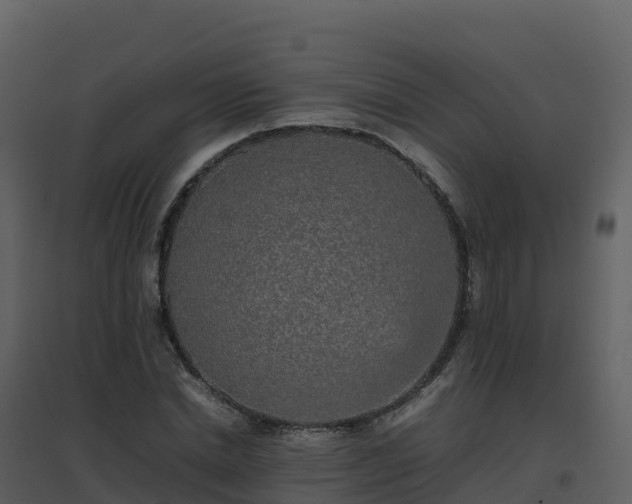 X0000096650830200802121130