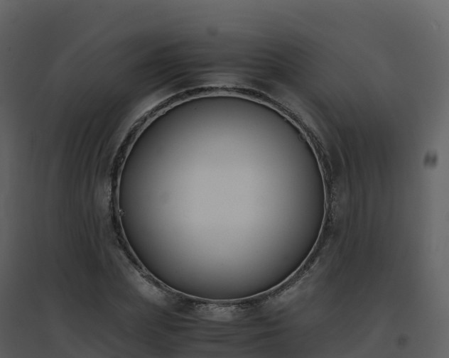 X0000096650831200802121130