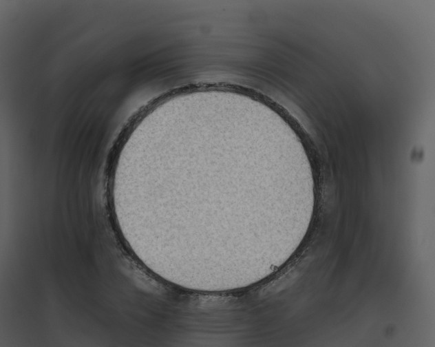 X0000096650832200802121130