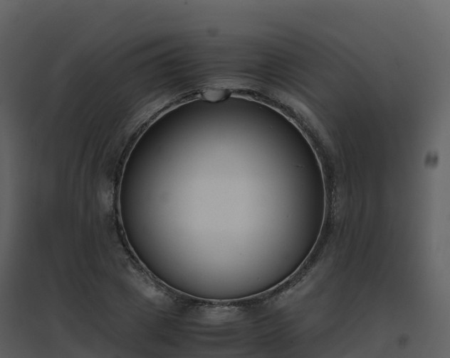 X0000096650833200802121130