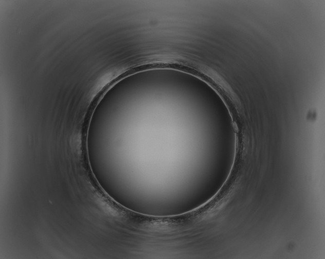 X0000096650834200802121130