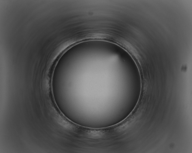 X0000096650835200802121131