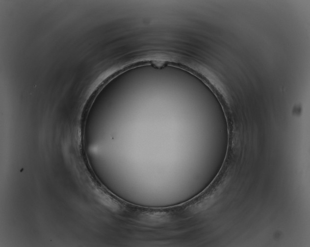 X0000096650837200802121131