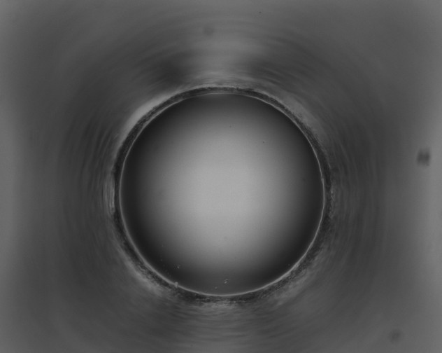 X0000096650838200802121131