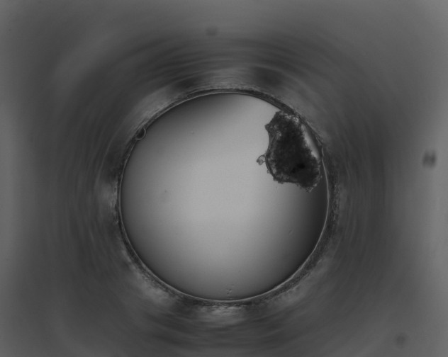 X0000096650841200802121131
