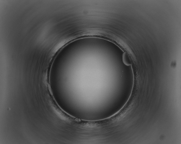 X0000096650842200802121131