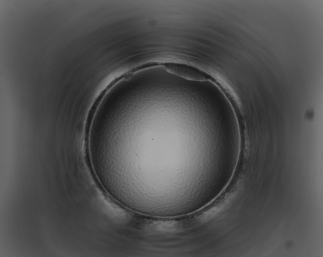 X0000096650845200802121131