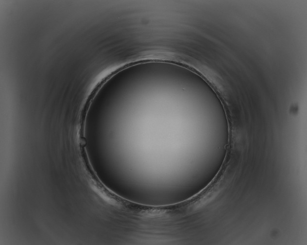 X0000096650846200802121131