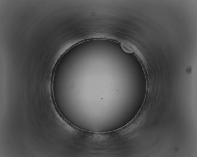 X0000096650847200802121131