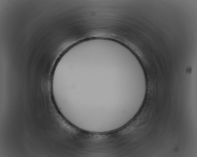 X0000096650848200802121131