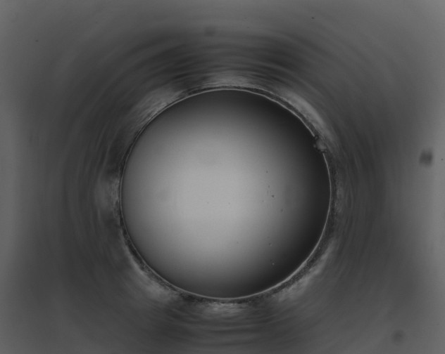 X0000096650849200802121131
