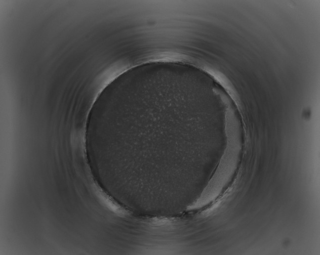 X0000096650850200802121131