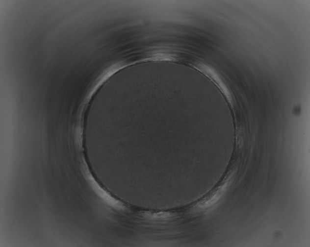 X0000096650851200802121131