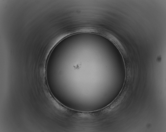X0000096650852200802121131
