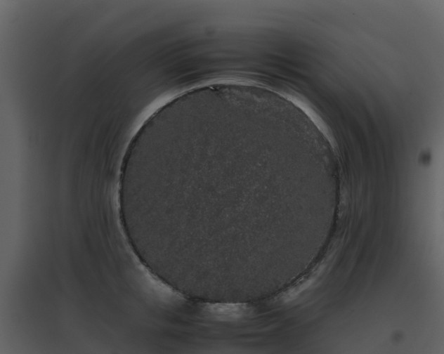 X0000096650853200802121131