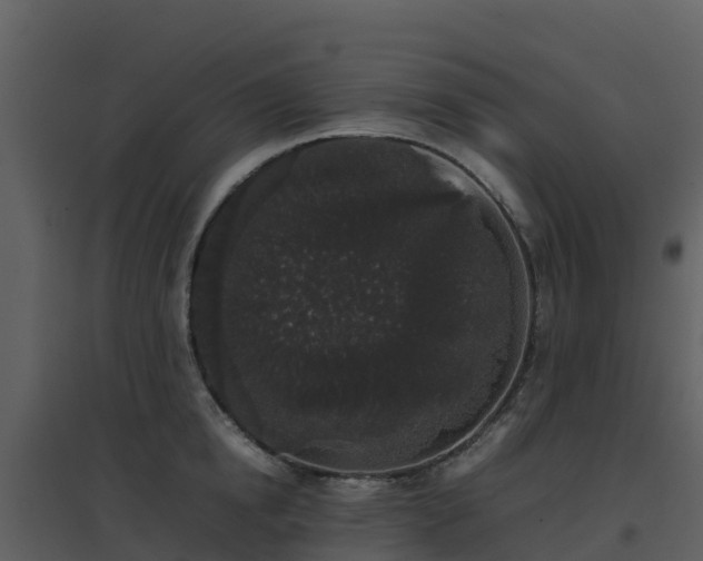 X0000096650854200802121131