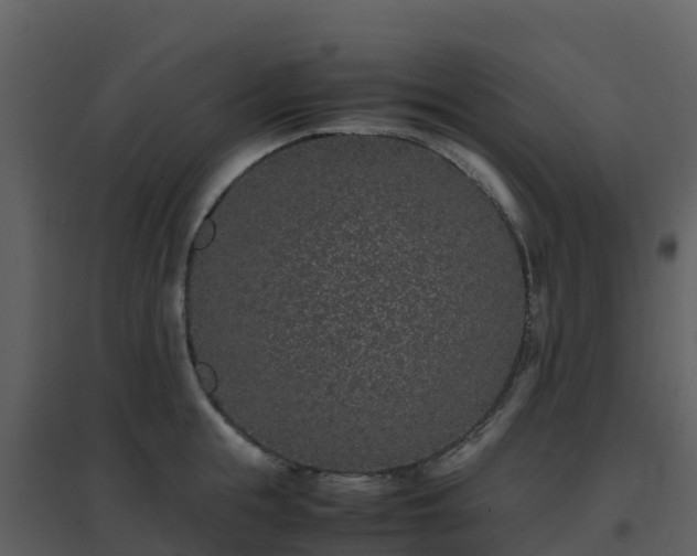 X0000096650855200802121131