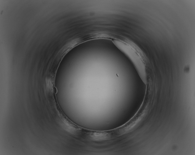 X0000096650857200802121131