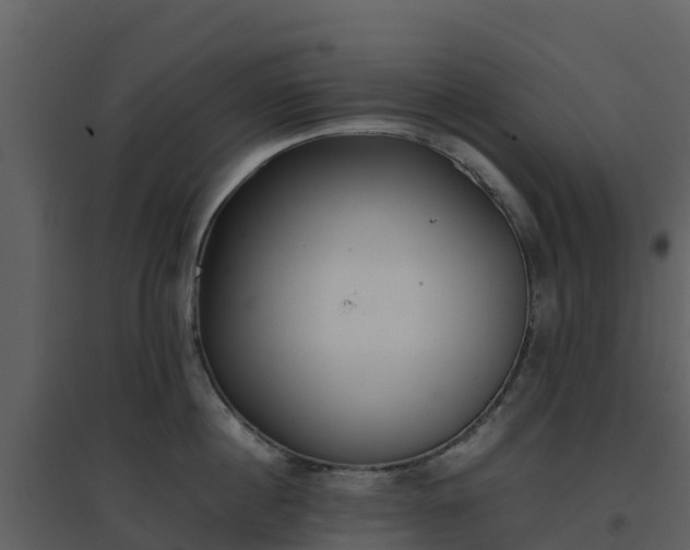 X0000096650860200802121131