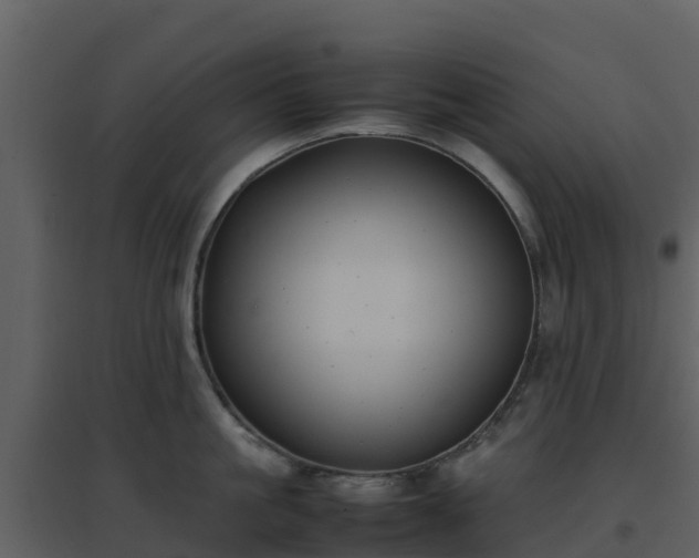 X0000096650861200802121131