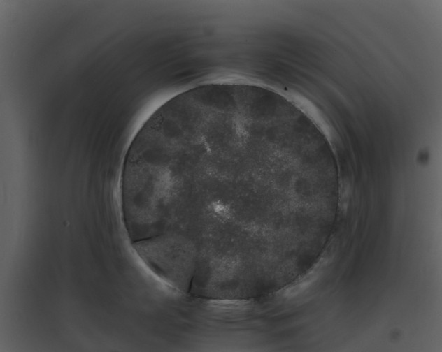 X0000096650863200802121131