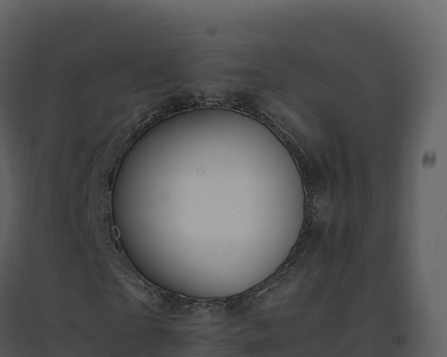 X0000096650865200802121130