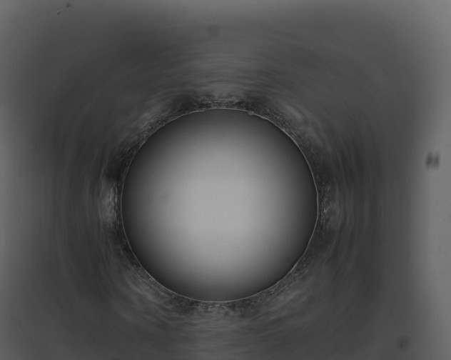 X0000096650866200802121130