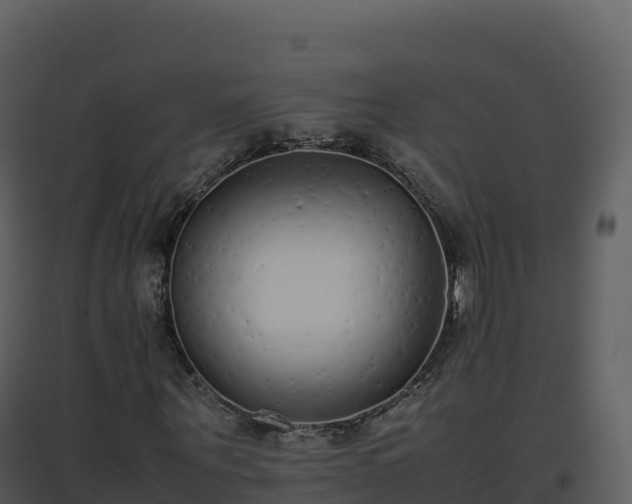 X0000096650867200802121130