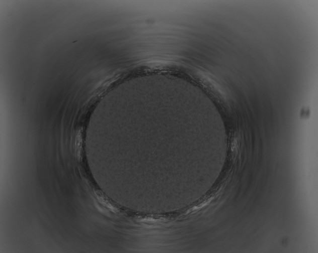 X0000096650868200802121130