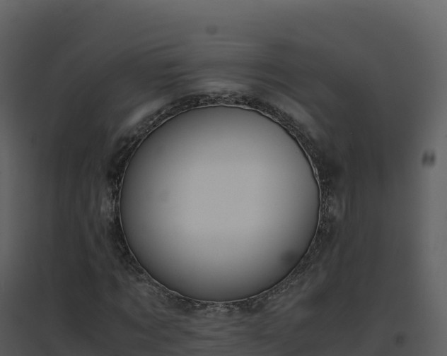 X0000096650869200802121130