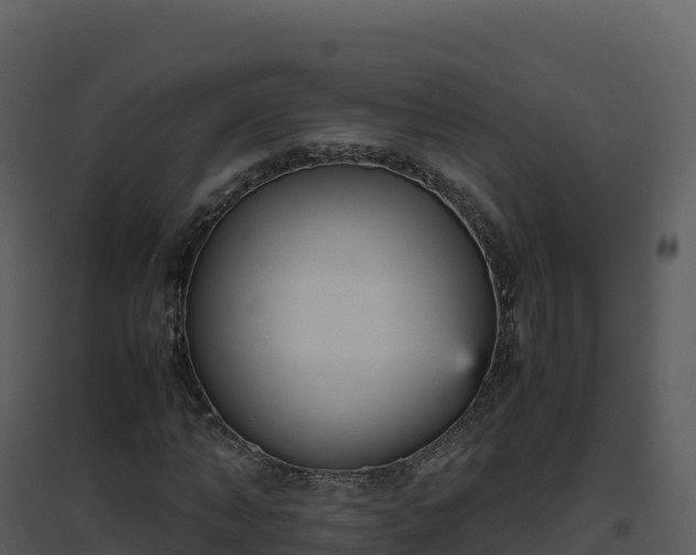 X0000096650870200802121130