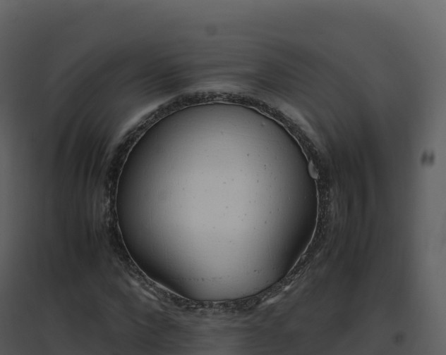 X0000096650872200802121130