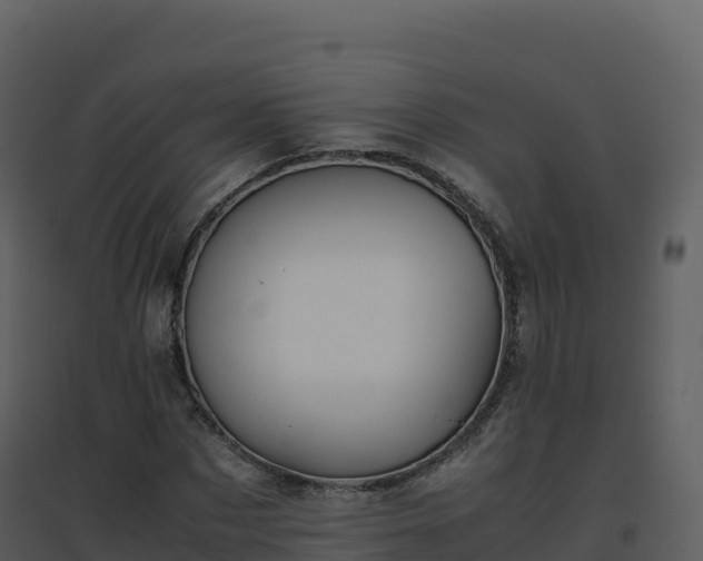 X0000096650873200802121130