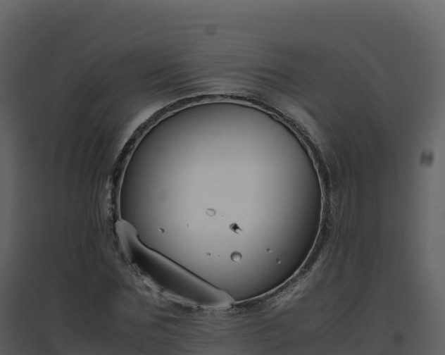 X0000096650875200802121130