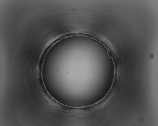 X0000096650876200802121130
