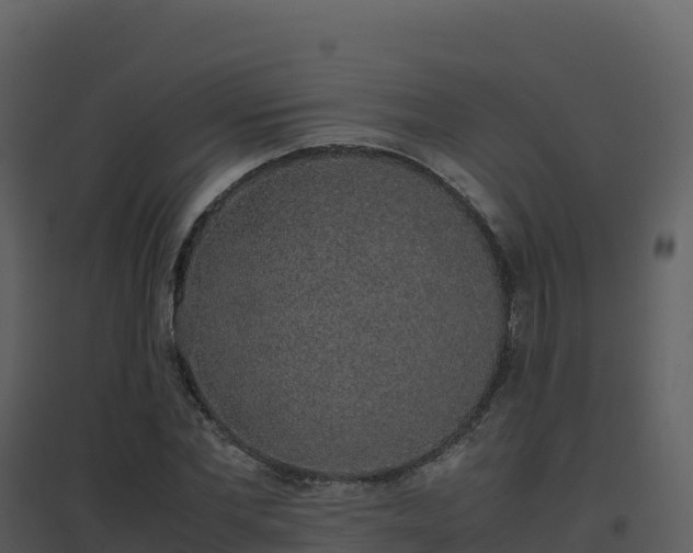 X0000096650877200802121130