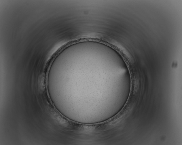 X0000096650878200802121130