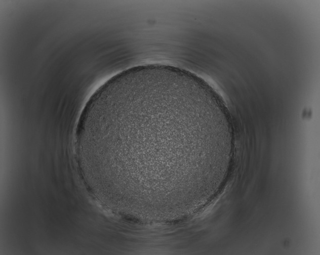 X0000096650879200802121130