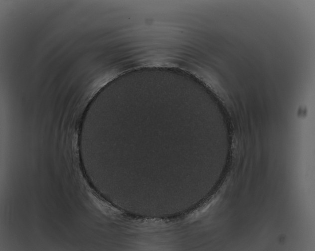 X0000096650881200802121130