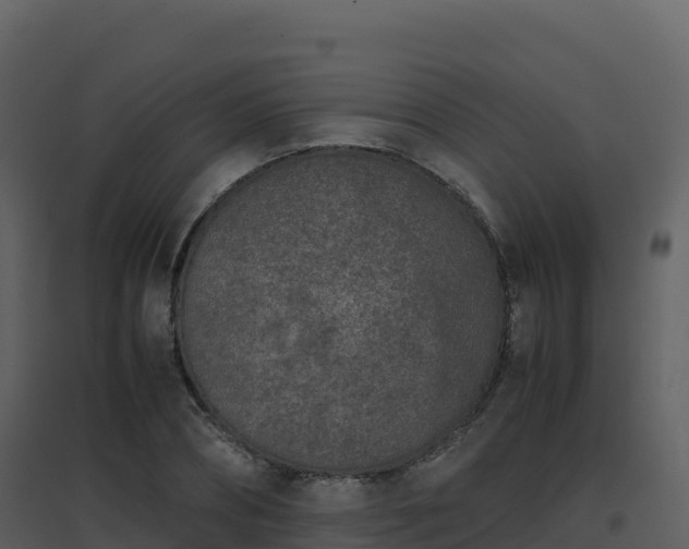 X0000096650882200802121130