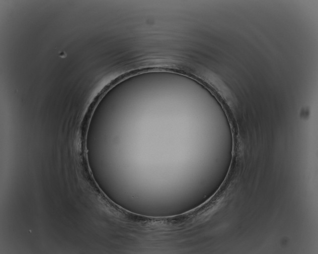X0000096650883200802121130